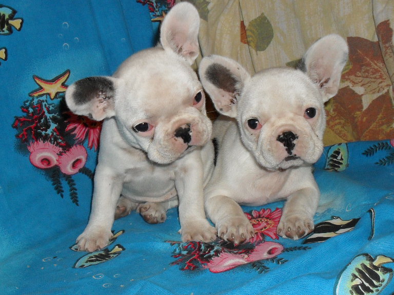 Изображение 820.jpg