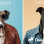    Trussardi