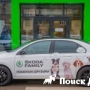 Skoda   Pet Mobil